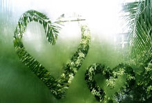 为老东家操碎心！东契奇对话阿方索：来皇马才把球衣给你.